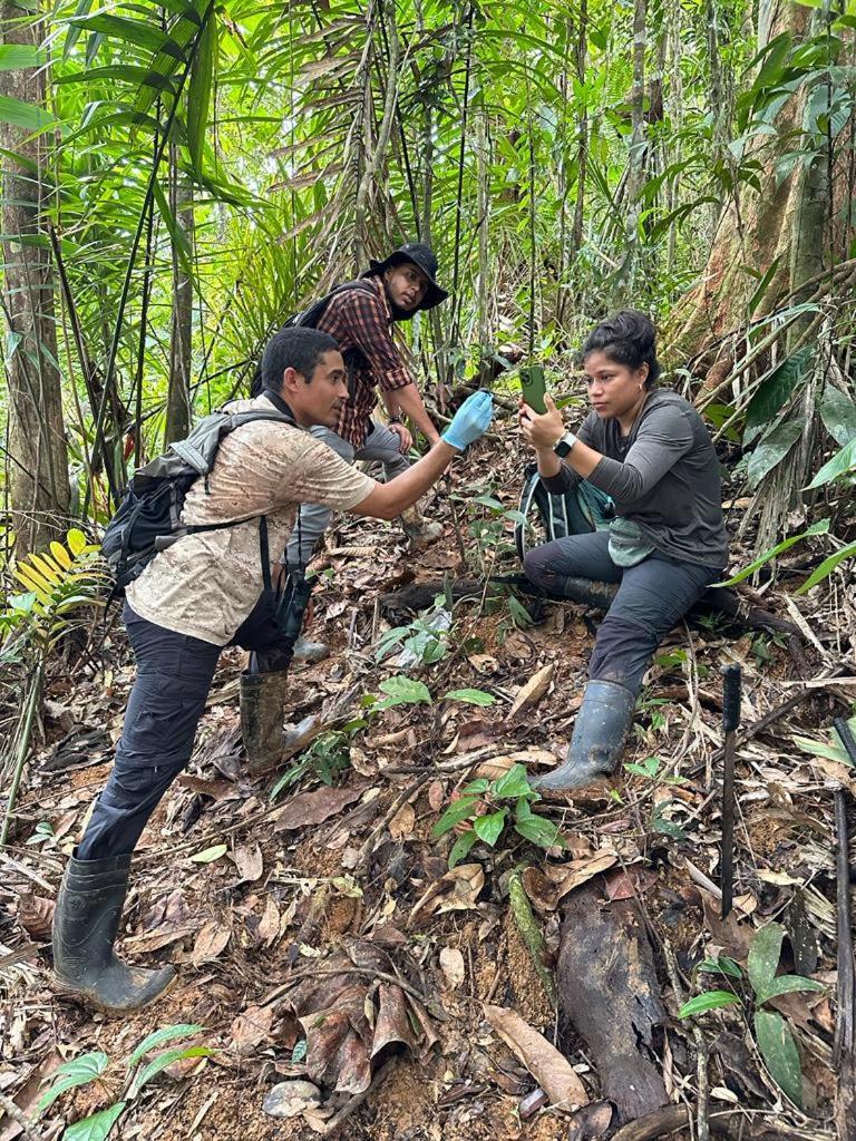 Konsenda San Blas Chepo  エクステリア 写真