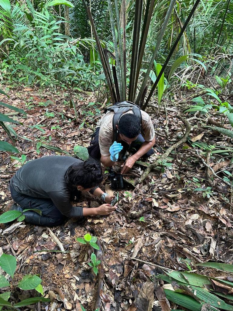 Konsenda San Blas Chepo  エクステリア 写真